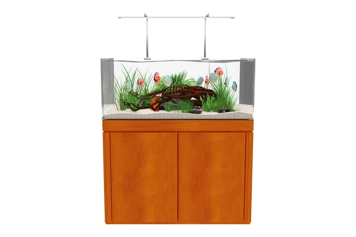 Let your imagination run wild — let Nature Aquariums help you design your dream aquarium.