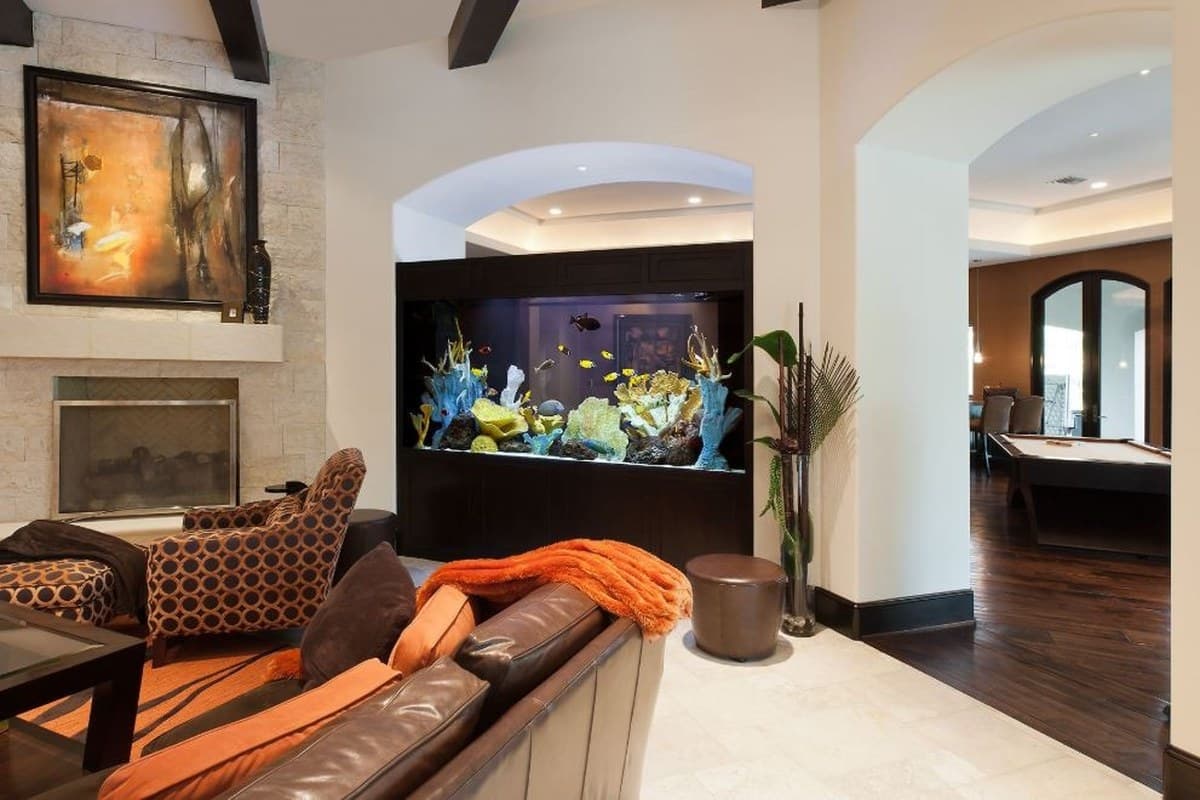 Let your imagination run wild — let Nature Aquariums help you design your dream aquarium.